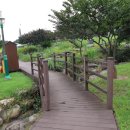 뿌리광장 이미지