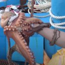 2층집민박 이미지