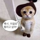 안아 이미지