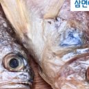 삼면이바다 since1991 네이버블로그