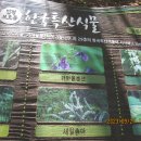 한티휴게소 이미지