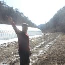 온다네민박 이미지