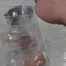 (주)몬스터브레인 이미지