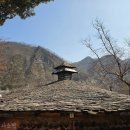 카페아마떼 | 강원 남한강뷰 카페 아마떼 영월점 내돈내산 후기