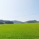 헬기하우스 이미지