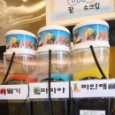 명품문어빵 이미지