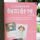 해피하개 이미지