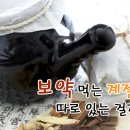 보약먹는 계절 이미지