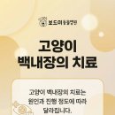 인동동물병원 이미지