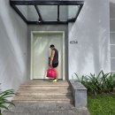 백설공주와 겁많은 호랑이 | 나트랑 빈원더스 동물원 이용 후기 동물 종류 입장권 관람 꿀팁