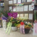 나영이의힐링샵 이미지