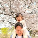 목마송이 이미지