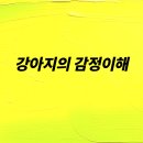 우리집 강아지 이미지