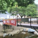 돌티미식당 이미지