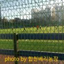 시민운동장(서문) 이미지