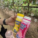 장터 | 한국민속촌 장터 음식 후기, 생각보다 가격 괜찮고 장터국밥은 꼭 드세요