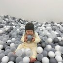 [영주 키즈카페] 짐스 오감놀이터 돌전 아기 오감 놀이 불포함 후기