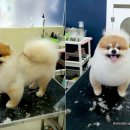 가든펫동물병원 이미지