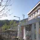 서울세명초등학교 네이버블로그
