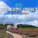 에코랜드 | 제주 곶자왈 숲속 기차여행 제주 에코랜드 방문 후기
