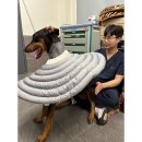 경상국립대학교수의과대학부속동물병원 이미지