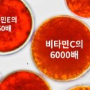 청정푸드 이미지