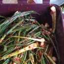 두레민박 이미지