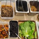 밥한끼 술한잔 | 밥&amp;술 초당동맛집 든든한 밥 한끼와 가볍게 술 한잔하기 좋은