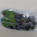 거봉산업 영천뉴스24