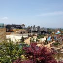 제주갈치대기정 이미지