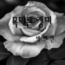 목마른 장미 / 박혜신 이미지