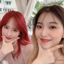 케이스텔라 이미지