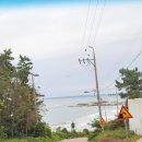 36.오도B 이미지