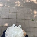포항판촉물백화점 네이버블로그
