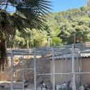 오예예마켓 | [스페인]마요르카 신혼여행 후기 (7탄)- 미라보데발데모사숙소 식사+자연동물원!소예르항구,드라크동굴...