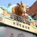 서마환경 이미지