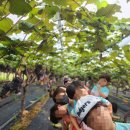 금빛농장 이미지