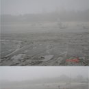 무창포 쭈꾸미 축제 이미지