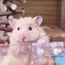 패러그린샵 동래점 이미지