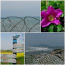 중화동-032 | 서해 최북단 섬, 백령도 여행 1, 동영상