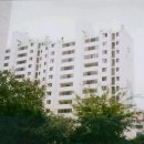 남구-125 이미지