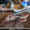 불미골오리 이미지