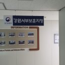 기린피아노 이미지