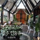 인송쥬 | 대구근교카페 성주 식물원 카페 인송쥬 방문 후기
