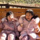 플렉스몰 이미지