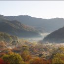 비밀의정원 이미지