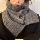 폴라 이미지