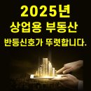 신흥부동산공인중개사사무소 | 2025년 선택의 기준 : 상업용 부동산 vs 주거용 부동산 투자 비교