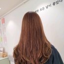 유어디어