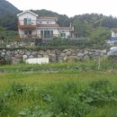 STX 칸 공인중개사사무소 이미지